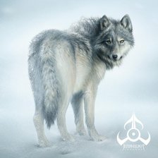 Оригинал схемы вышивки «волчица» (№1440079)