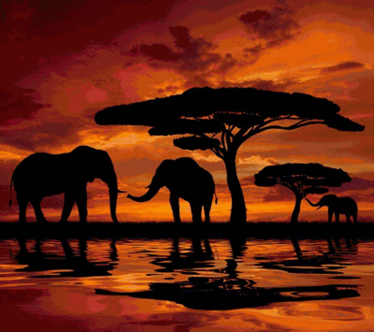 африка - пейзаж слоны - предпросмотр