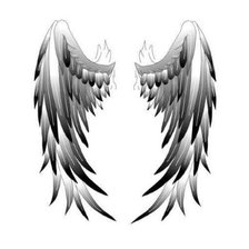 Оригинал схемы вышивки «крылья 5» (№1443145)