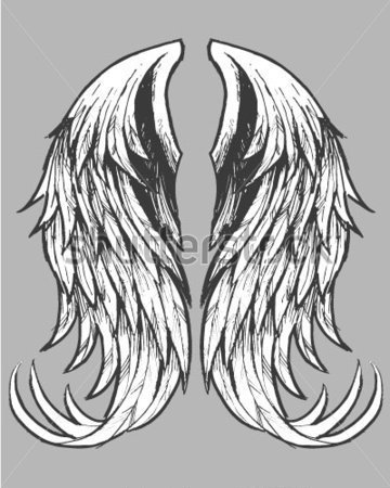 крылья 6 - крылья ангел тату - оригинал