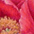 Предпросмотр схемы вышивки «цветы» (№1443209)