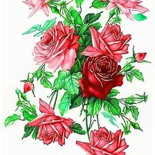 Схема вышивки «ružové ruže»