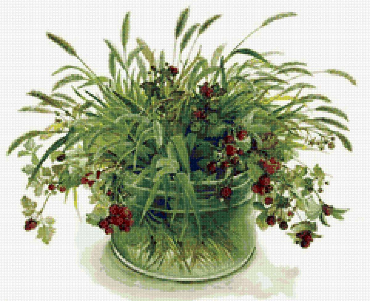 ягоды и травы фуджико - ягоды и травы - предпросмотр