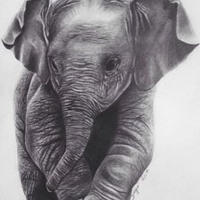 слоник
