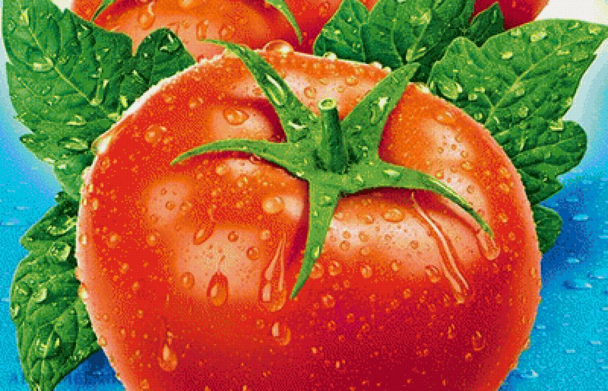 томаты - предпросмотр
