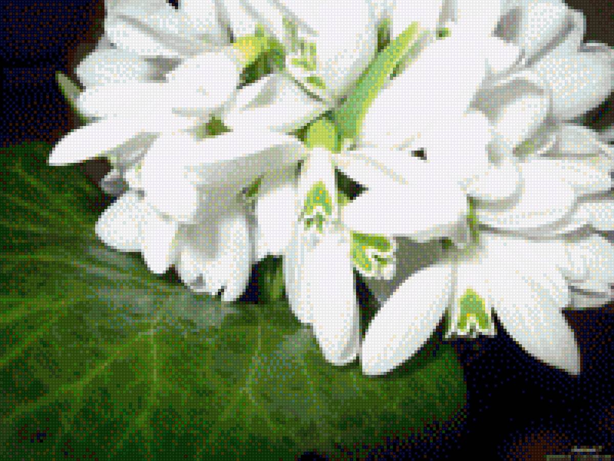 весенние цветы 1 - подснежники - предпросмотр