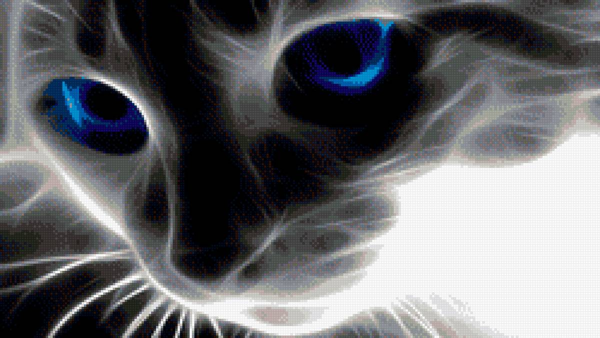 котик в темноте - кошки - предпросмотр