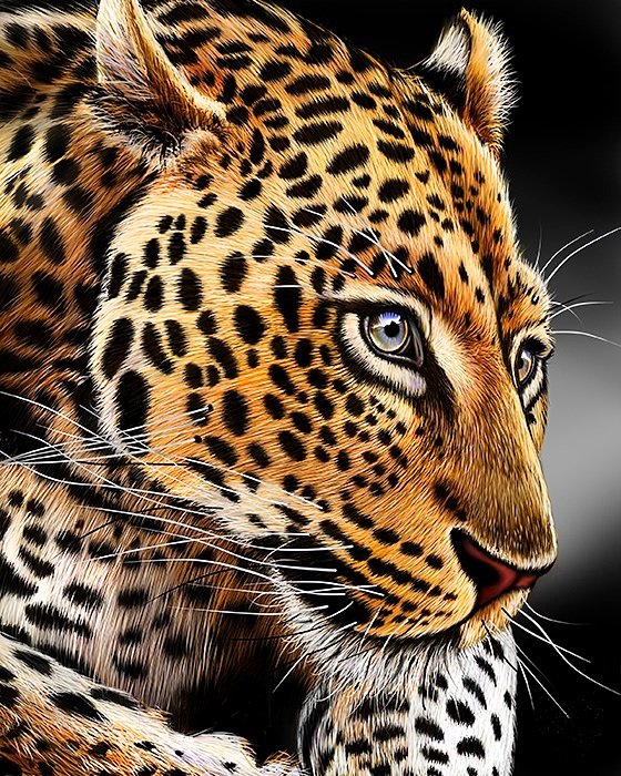 леопард - хищники, леопард, ягуар - оригинал
