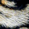 Предпросмотр схемы вышивки «тигр» (№1463332)