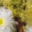 Предпросмотр схемы вышивки «полевые цветы корзина» (№1465584)