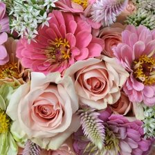 Схема вышивки «квіти рожеві»