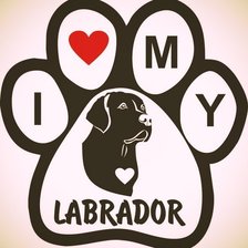 Оригинал схемы вышивки «I love my labrador» (№1468504)