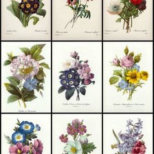 Оригинал схемы вышивки «цветы» (№1468904)