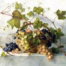 Оригинал схемы вышивки «виноград» (№1469423)
