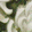 Предпросмотр схемы вышивки «хризантема» (№1469858)