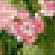 Предпросмотр схемы вышивки «цветы» (№1472544)
