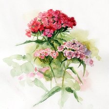 Оригинал схемы вышивки «цветы» (№1472544)