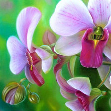 Орхидея для подушки1