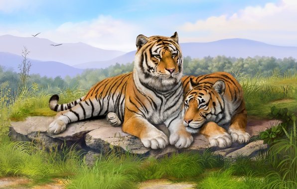 Тигры - семья, арт, животное, пара, тигр - оригинал