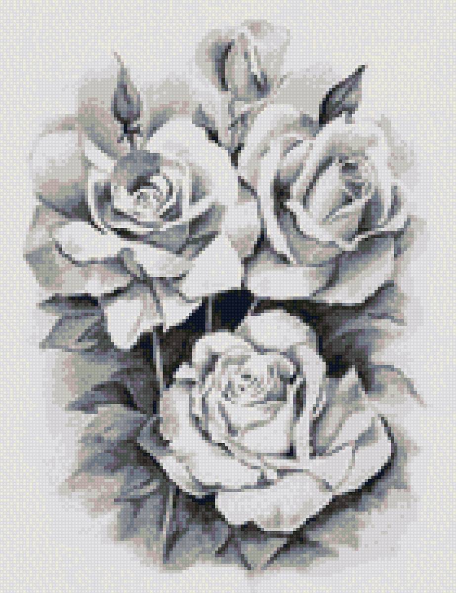 Розы - черно-белые, розы - предпросмотр