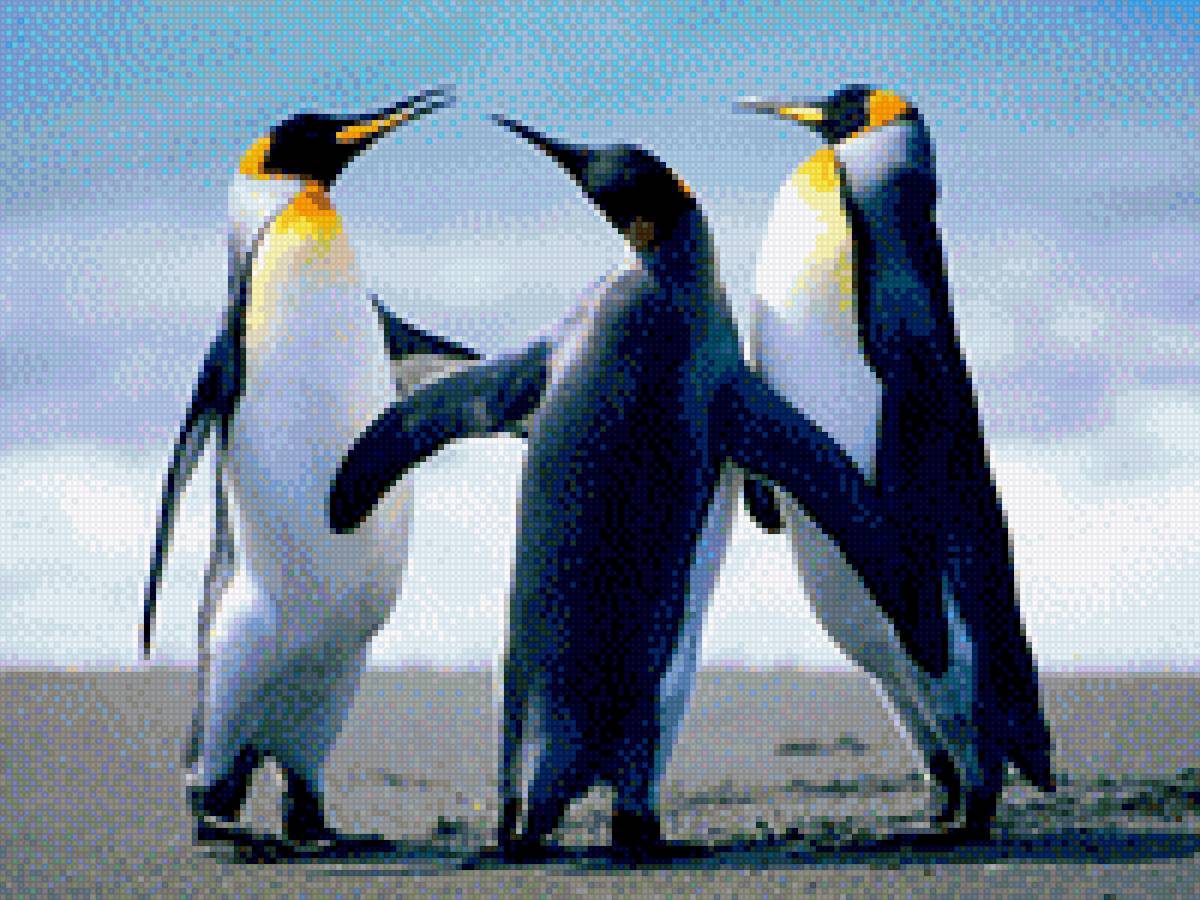 Пингвины - предпросмотр