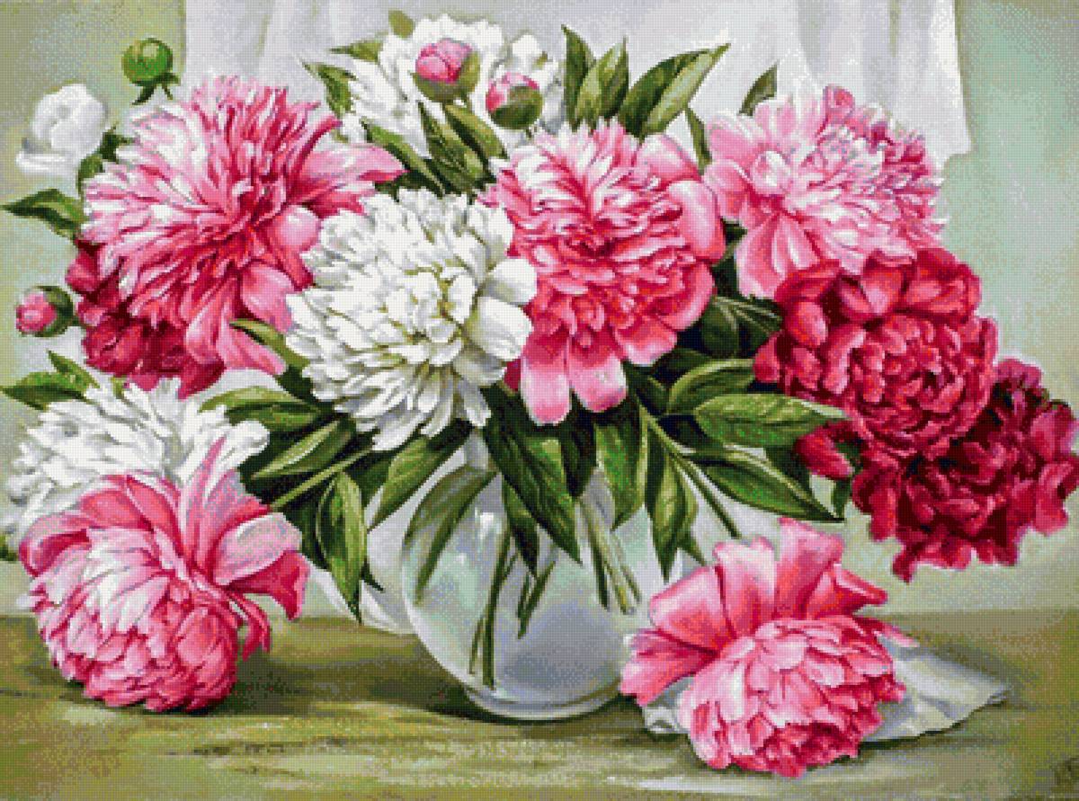 пионы в вазе - пионы, цветы, натюрморт - предпросмотр