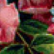 Предпросмотр схемы вышивки «цветочная композиция» (№1477803)