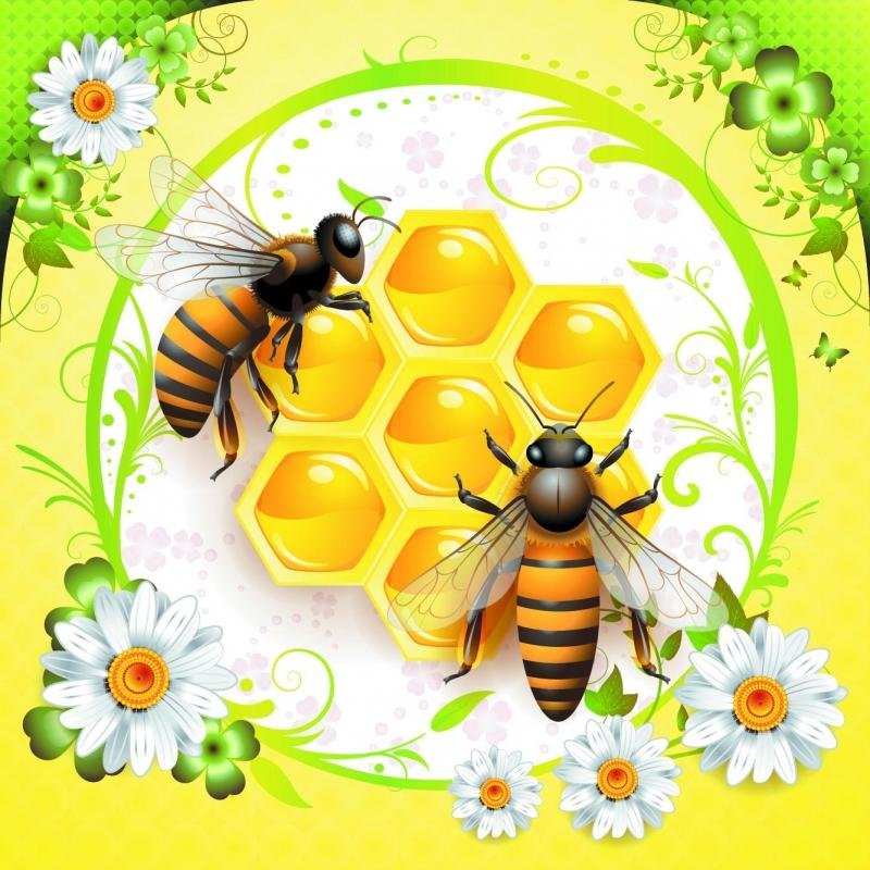 Пчелы, мед - мед, пчелы, соты - оригинал