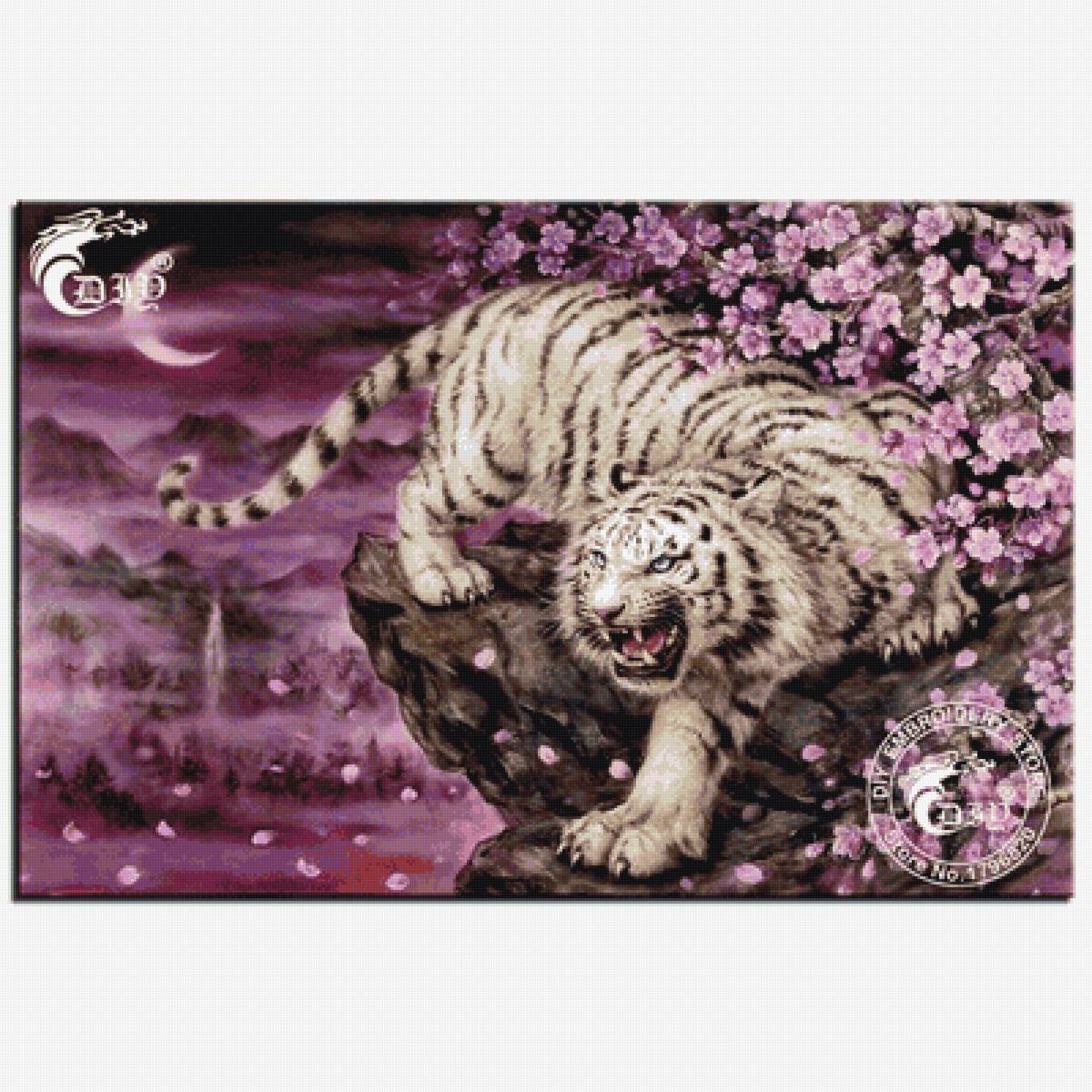 белый тигр,сакура,япония - предпросмотр