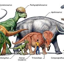 Схема вышивки «Динозавры»