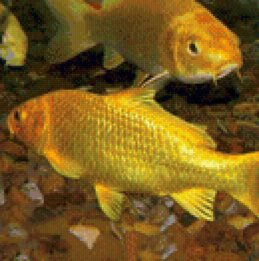 Золотая рыбка - золотая, китайский, карп, рыбка, деньги - предпросмотр