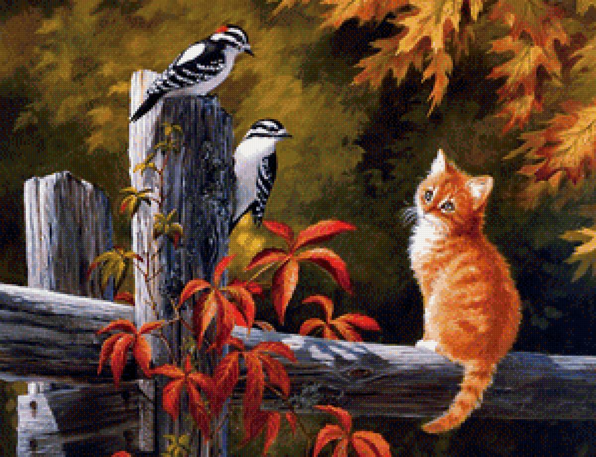 На лесной опушке - рыжий котенок, птицы, друзья, лес, дятлы - предпросмотр