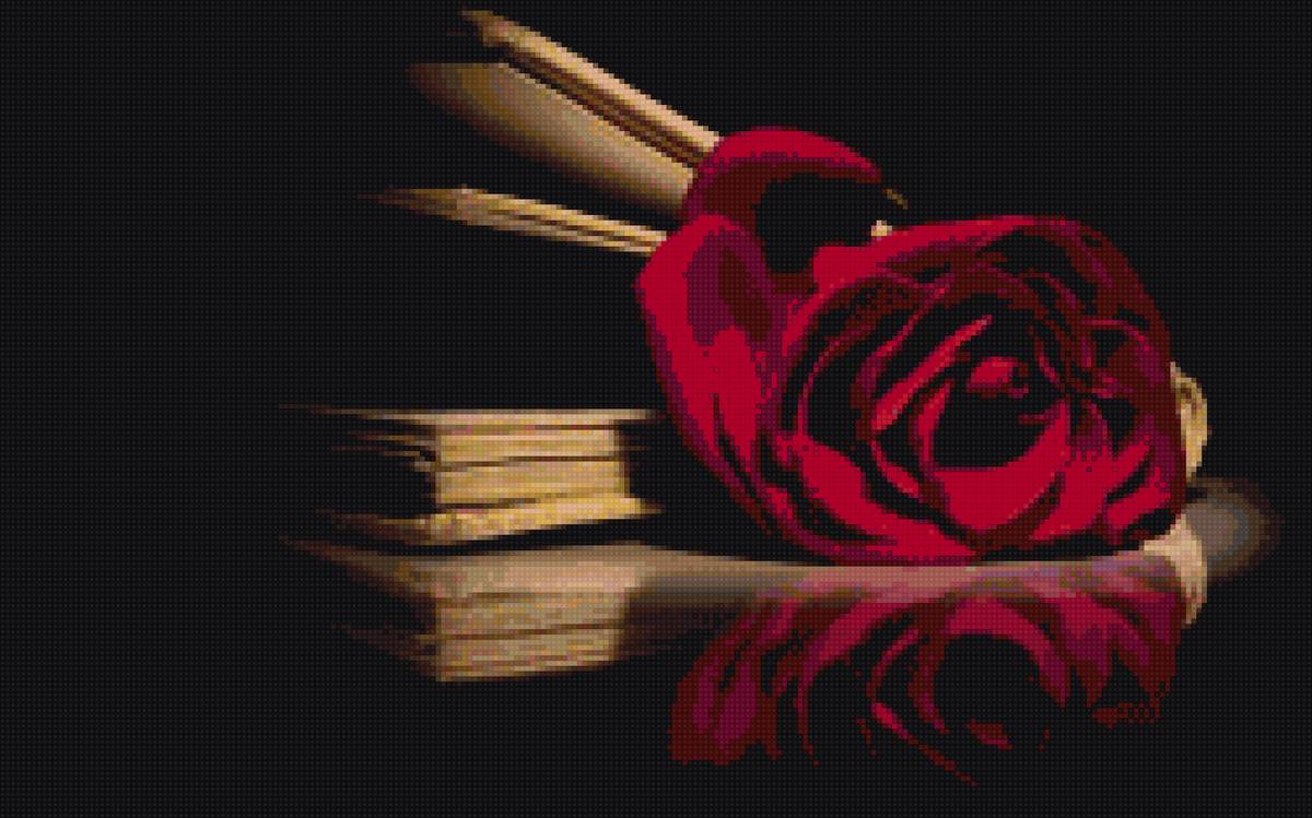№1487442 - книга, черная канва, роза - предпросмотр