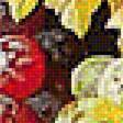 Предпросмотр схемы вышивки «Художник Святослав Сметанин. Натюрморт с виноградом и орехами» (№1492218)