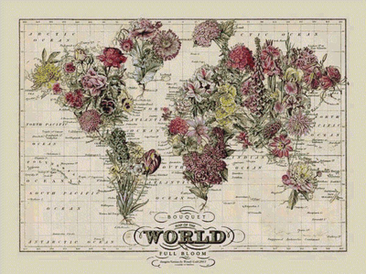 Карта мира в цветах - предпросмотр