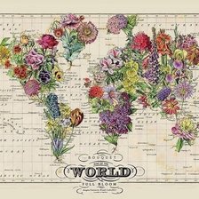Оригинал схемы вышивки «Карта мира в цветах» (№1495980)