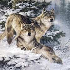 Оригинал схемы вышивки «волки» (№1496130)