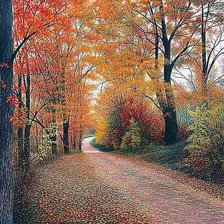 Схема вышивки «Художник Дэвид Хоуэлл. Осенняя дорога.»