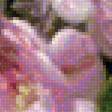 Предпросмотр схемы вышивки «розы в корзине» (№1499219)