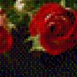 Предпросмотр схемы вышивки «Розы 4» (№1499427)