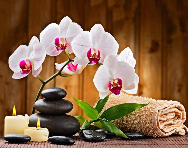 Ароматерапия - орхидея, релакс, цветы, камни - оригинал