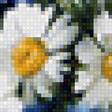 Предпросмотр схемы вышивки «Полевые цветы» (№1502964)