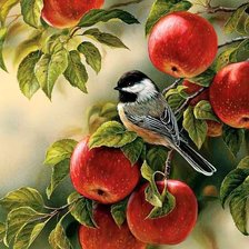 Оригинал схемы вышивки «яблочная птичка» (№1504376)