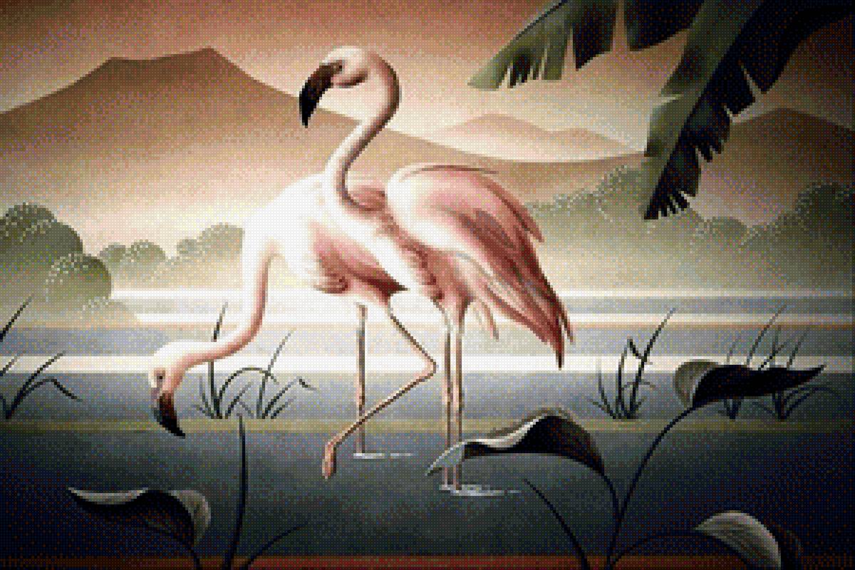 Фламинго - фламинго - предпросмотр