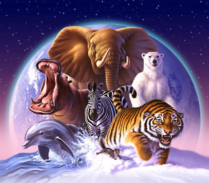 Мир животных - фэнтези, тигр, планета, животное, слон, арт - оригинал