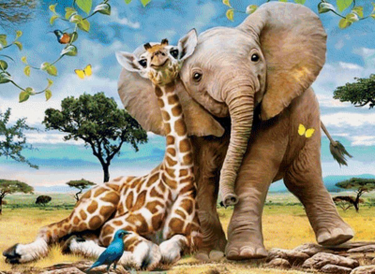 Мир животных - животеое, жираф, детское, слон, лето - предпросмотр