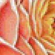 Предпросмотр схемы вышивки «розы» (№1515456)