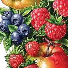 Оригинал схемы вышивки «Фрукты и ягоды» (№1518595)