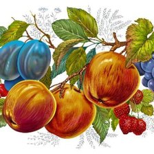Оригинал схемы вышивки «фруктовое ассорти» (№1518787)