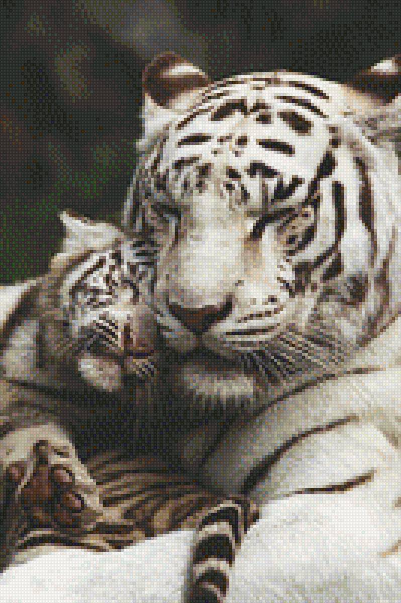 белый тигр с тигренком - тигренок, белый тигр, мама - предпросмотр